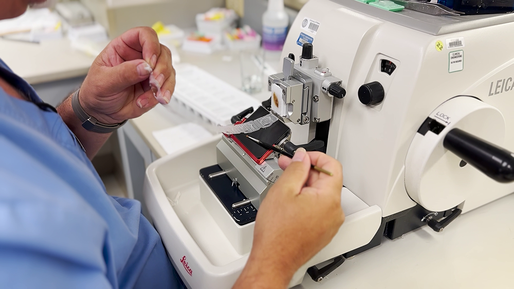 core staff using lab equipment