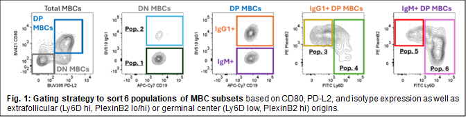 flow cytometry gating image